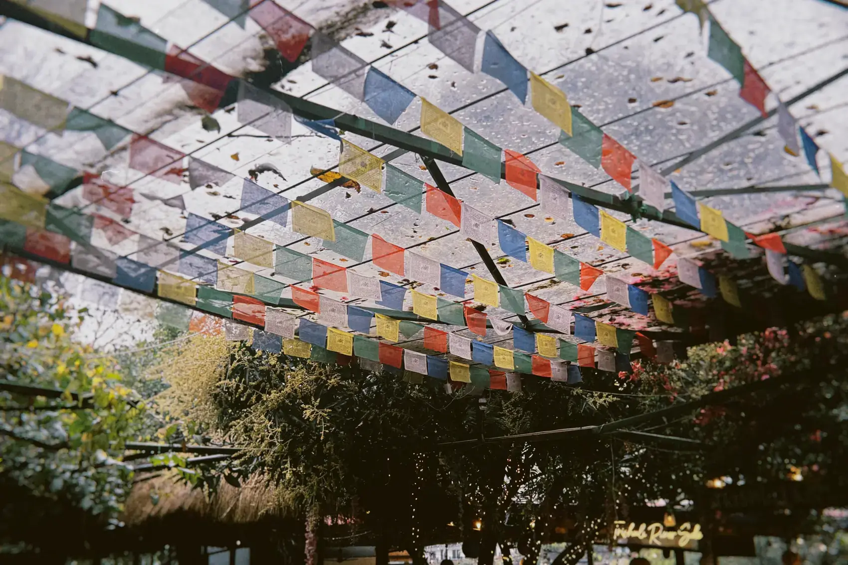 Banderines de oración cruzando el cielo entre los árboles
