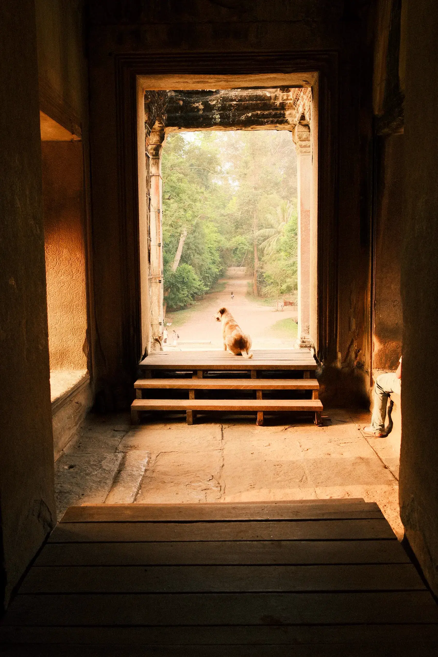 Una puerta de piedra iluminada al fondo de un pasillo en penumbra, en un templo de Angkor