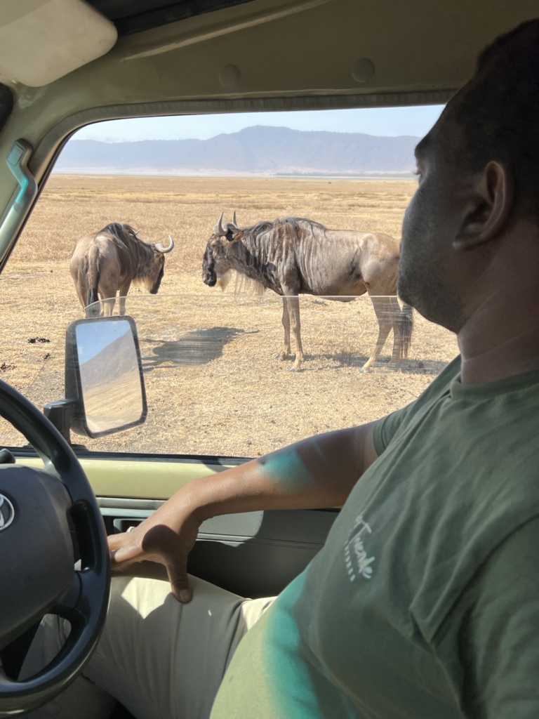 Safari en Tanzania