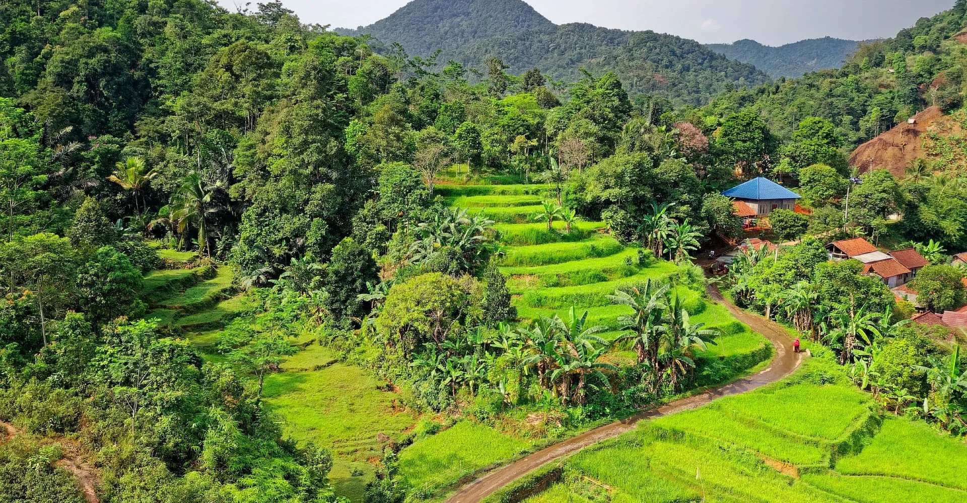INDONESIA-BANNER-RURAL