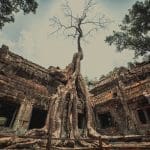 camboya3