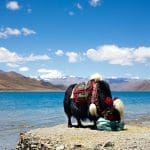 tibet