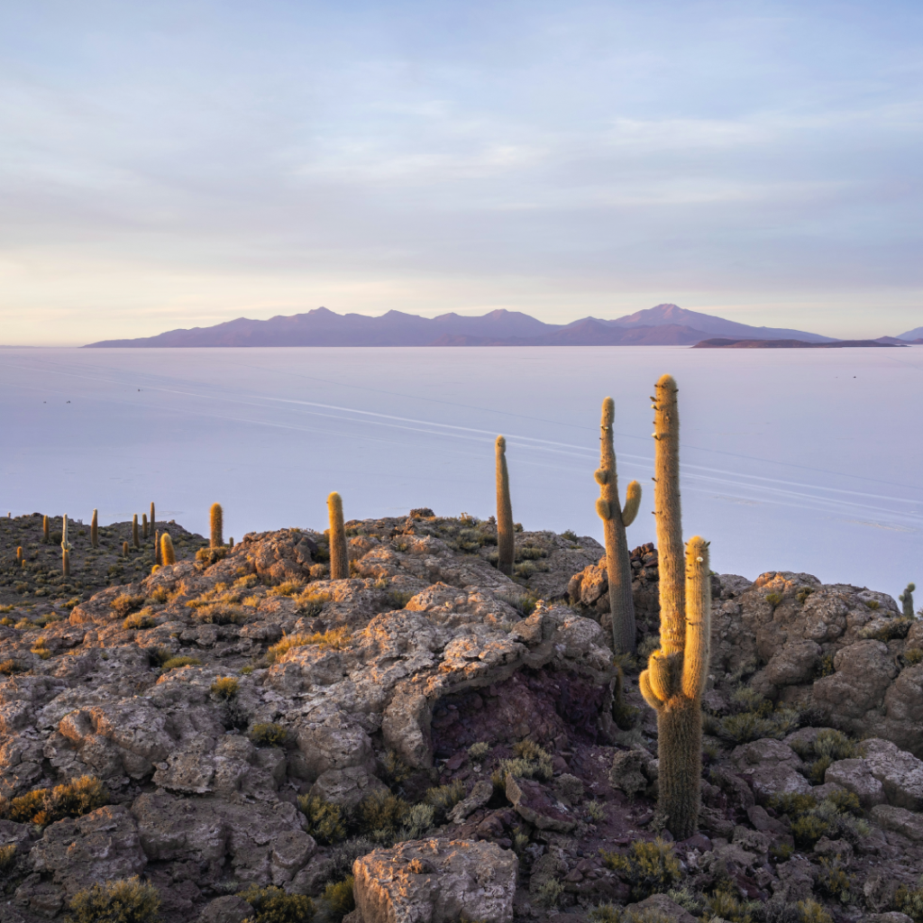 uyuni2