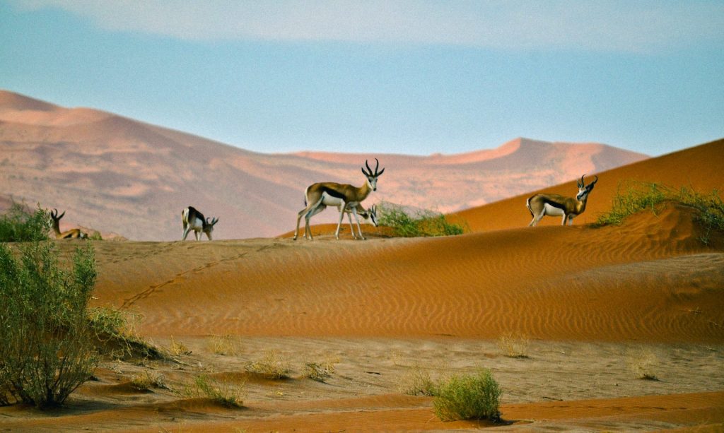 Namibia