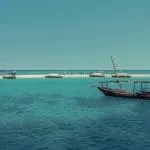 shutterstock_1158172897-3