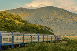 Tren Tazara