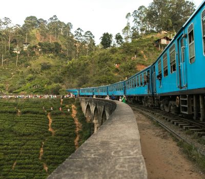 Trenes Sri Lanka (2)