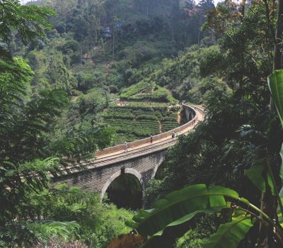 Trenes Sri Lanka