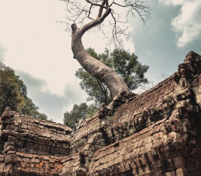 cambodia