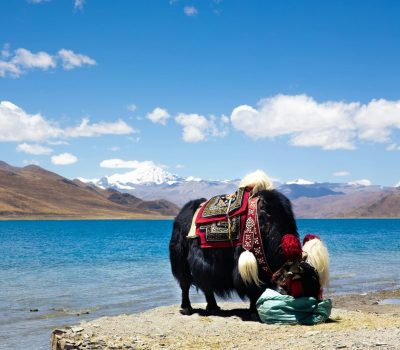 tibet